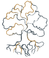 DOMAINE JOBARD - MOREY